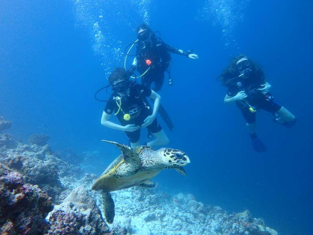 Furaveri Island Resort And Spa Muravandhoo 設備 写真